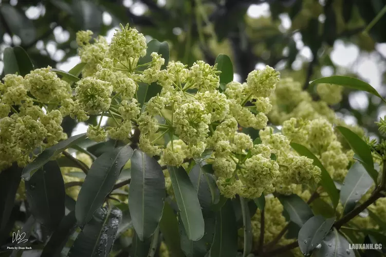 572473237_1167972208767307_7121469223064447932_n (1).webp