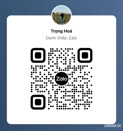 b39081fa94bd7de324ac.webp