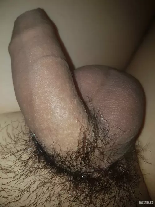 z6681412541829_bf61ae157c8f134d956fa2b10064625a.webp z6681412541829_bf61ae157c8f134d956fa2b10064625a.webp