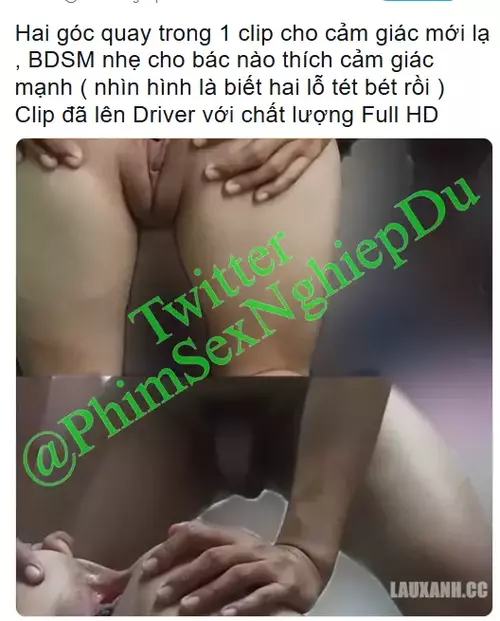 Screenshot 2025-06-08 235952.webp