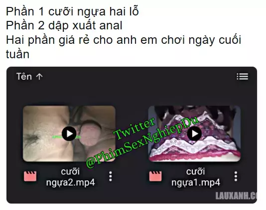 Screenshot 2025-06-09 001722 - Copy.webp