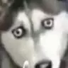 Findmysex