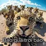 Anh8mientay