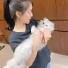 vanbabeee