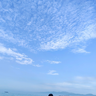 trai ngoan mà hư.