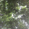 Thangnguyen.Fbsc