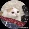 bbb hy