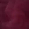 Viruss