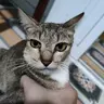 thanhbinh212