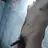 joncandy