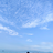 trai ngoan mà hư.