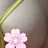 namduiga