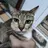 thanhbinh212
